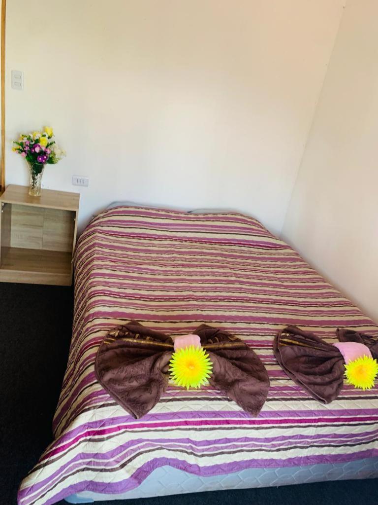 Hostel Pua Vaenga Hanga Roa Zewnętrze zdjęcie