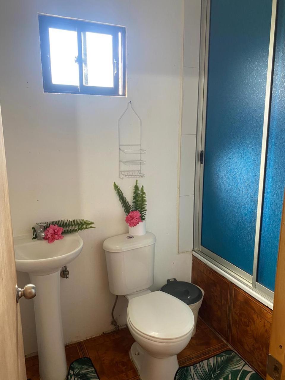 Hostel Pua Vaenga Hanga Roa Zewnętrze zdjęcie