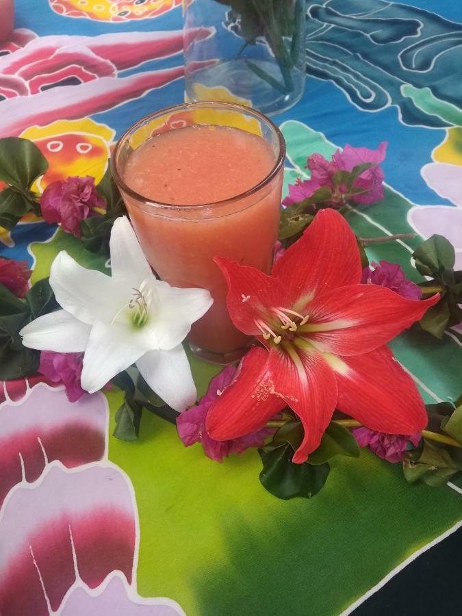 Hostel Pua Vaenga Hanga Roa Zewnętrze zdjęcie